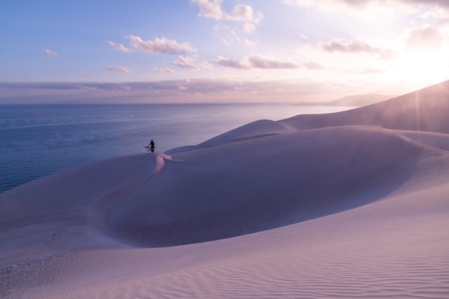 socotra isaland yemen