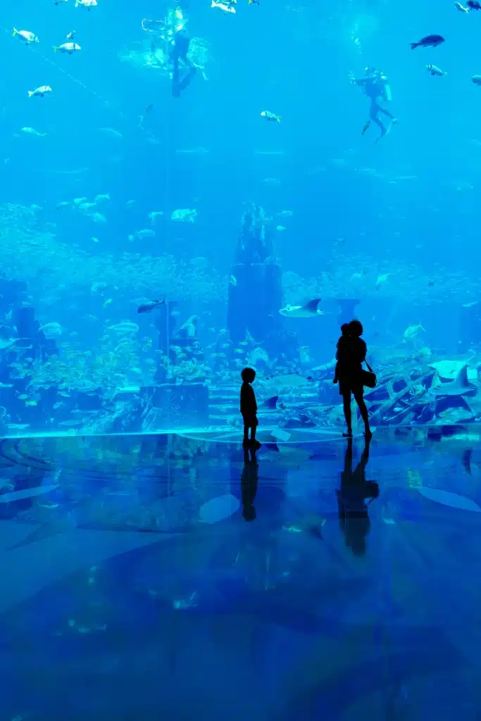 Dubai mall aquarium Dubai tickets with tabby and tamara
