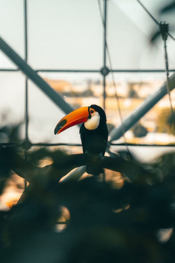 Green Planet Dubai tickets offers
