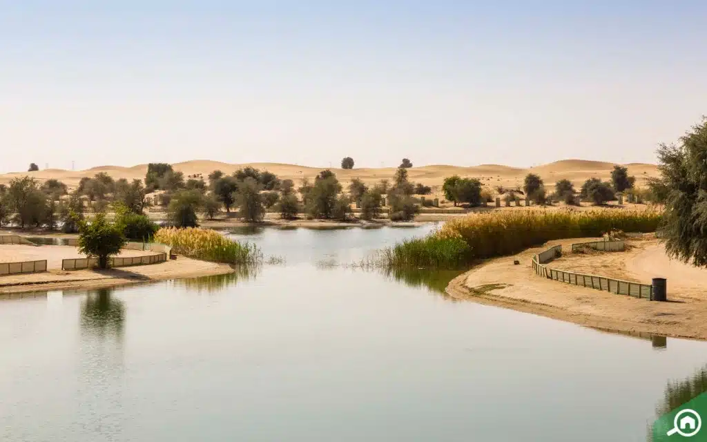 al qudra desert and lake location al qudra desert and lake location