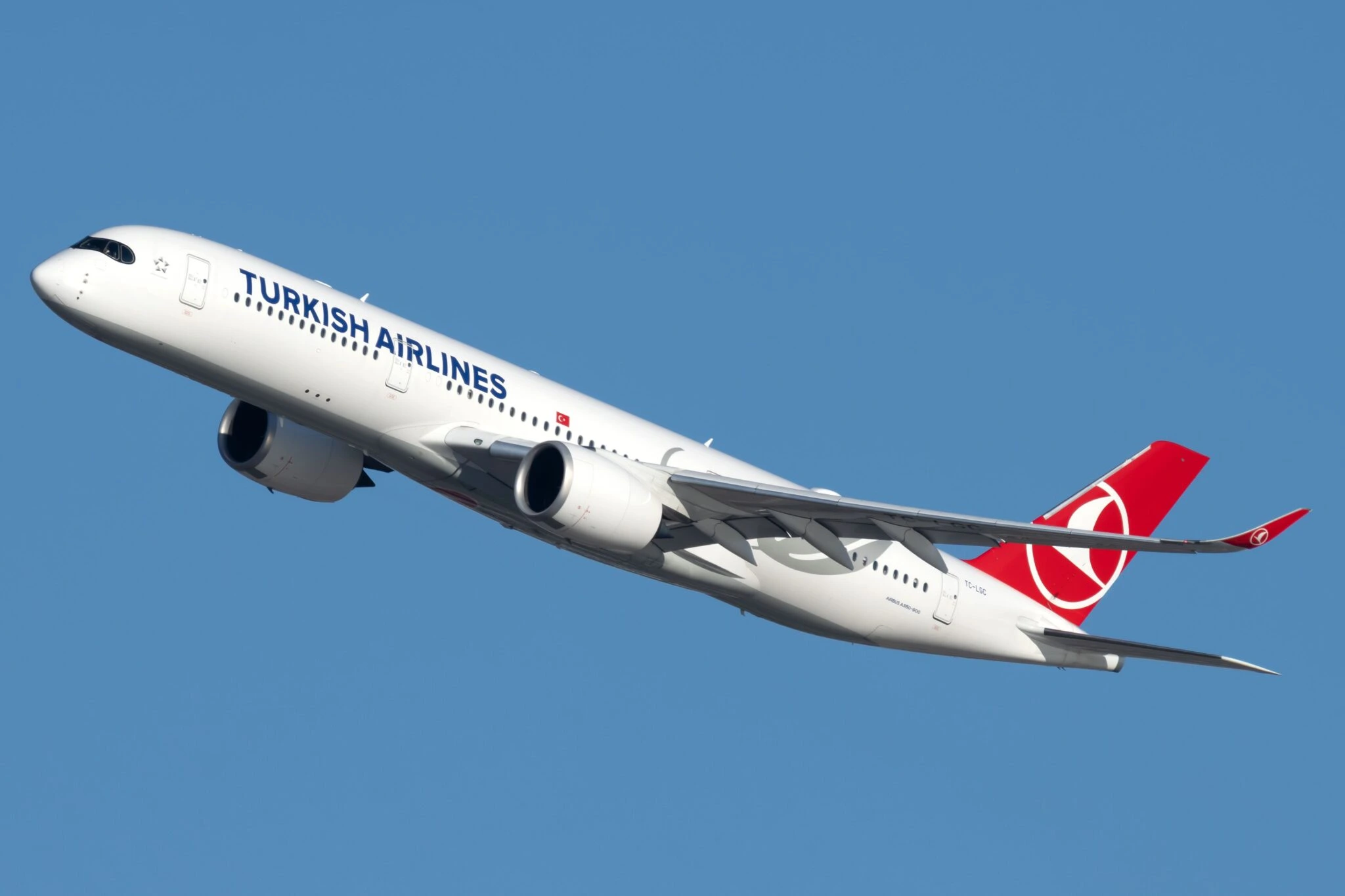 thy airlines with tamara
