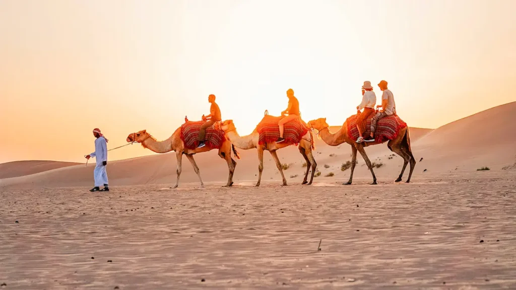 Camel Riding in Dubai