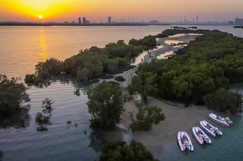 jubail mangrove park al jubail island abu dhabi