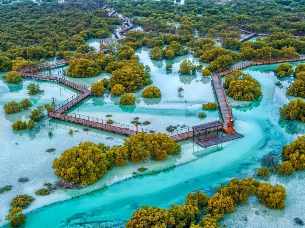 mangrove park abu dhabi location