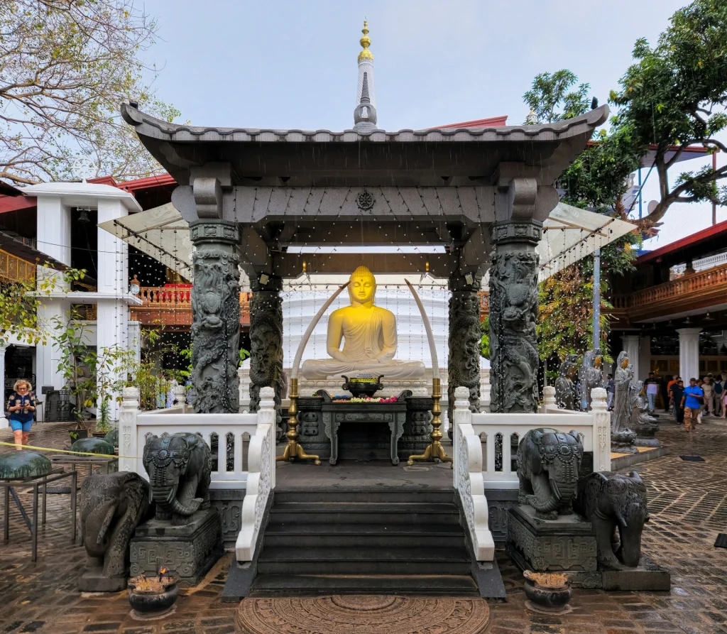 sri lanka tour package for family from dubai with tamara and tabby