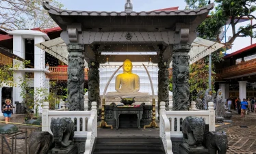 sri lanka tour package for family from dubai with tamara and tabby