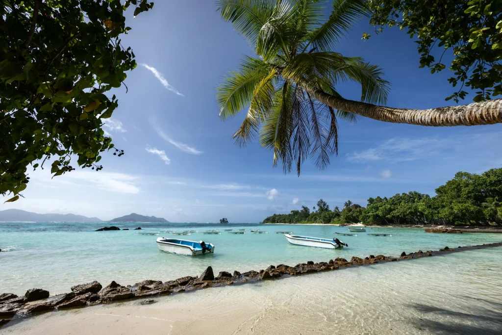 Seychelles tour packages from dubai with tabby or tamara